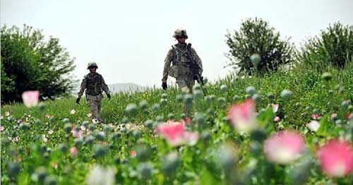 (Credit: http://www.ips-dc.org/events/us_counter-narcotics_policy_in_afghanistan_colombia_and_mexico)